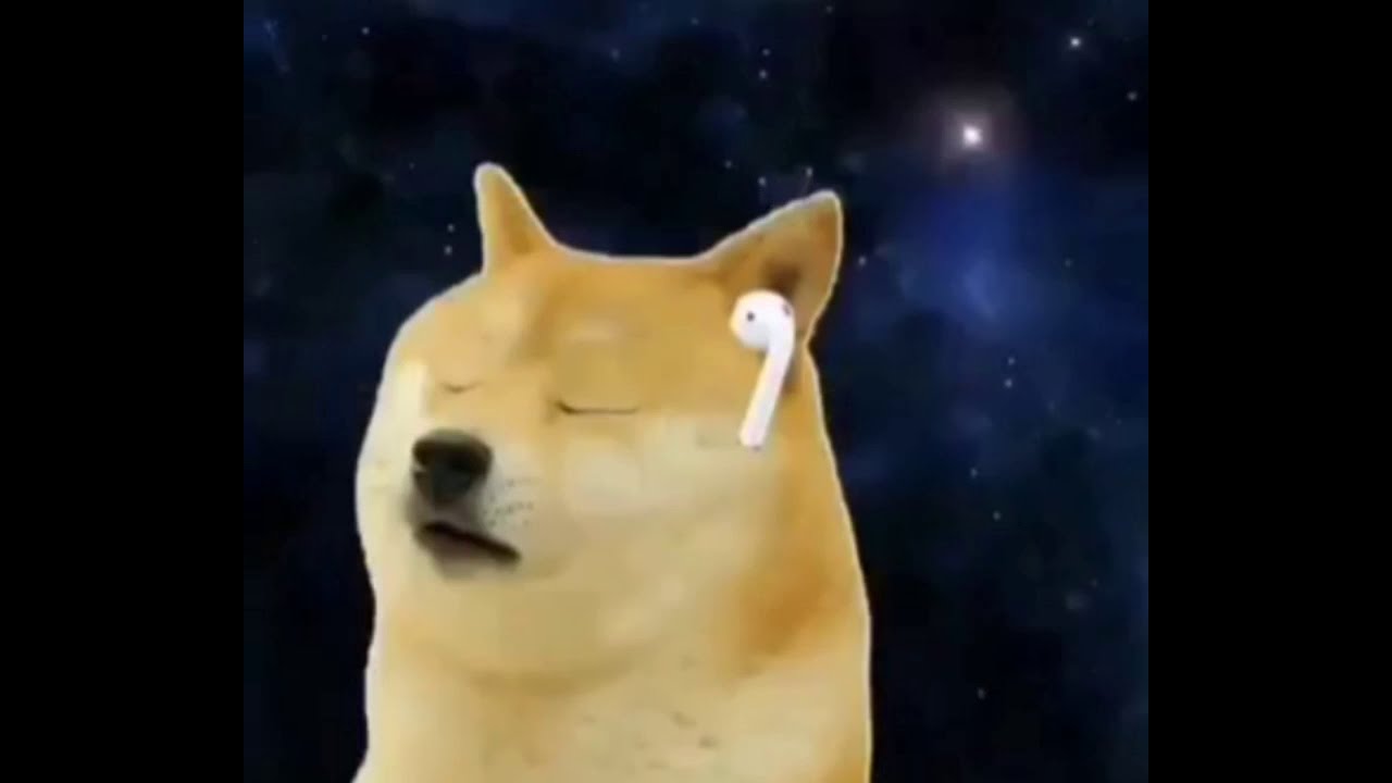 Doge listening with a earphone|| cheems doge meme template