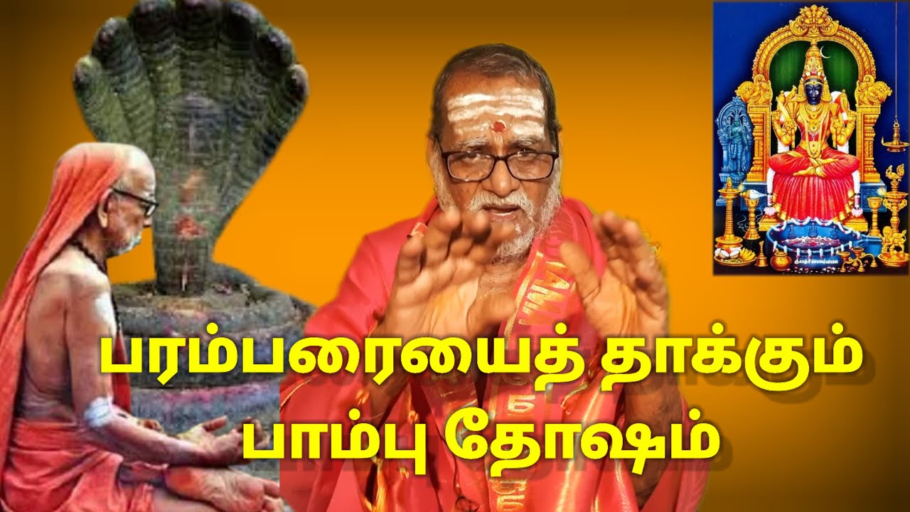 பரம்பரையைத் தாக்கும் பாம்பு தோஷம் #mahaperiyava  #kamakshiammantemple Neelakal CN Muthuswamy Sastry