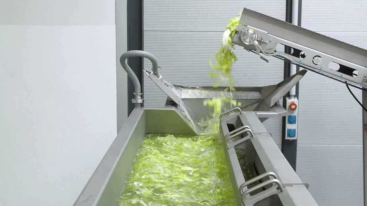 GEWA XL - Excellent washing results for large quantities of salad