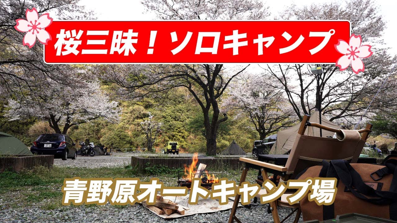 桜三昧！60代お花見ソロキャンプin青野原オートキャンプ場／トヨタ ライズ