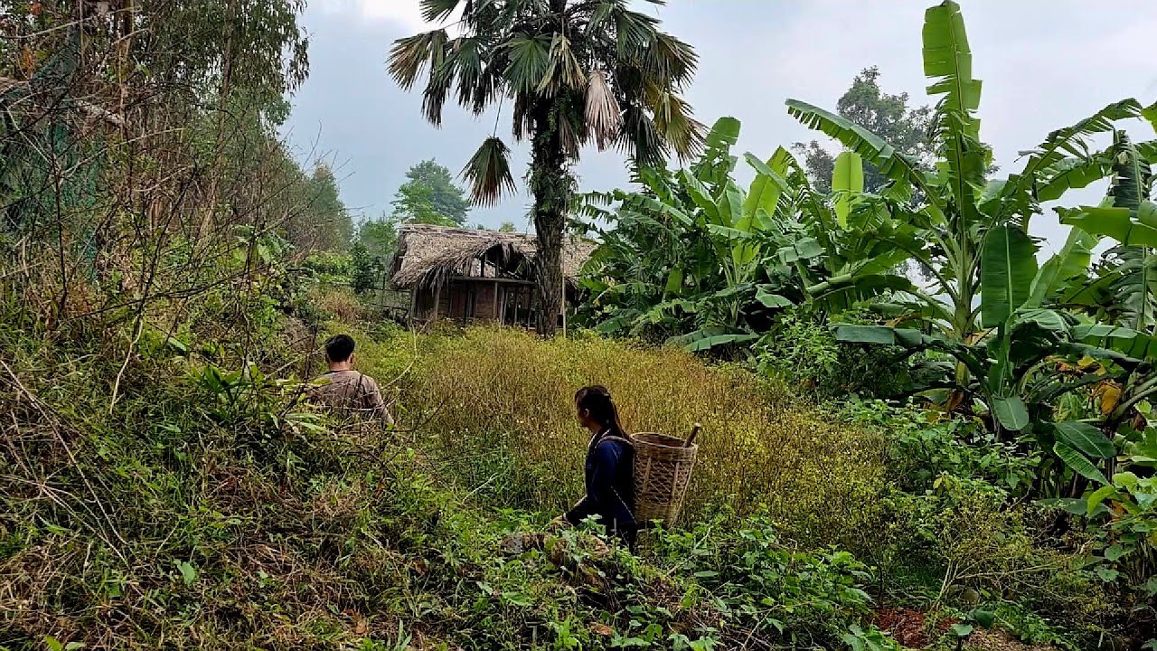 A homeless woman, without a home, was helped by a man who gave her shelter in an abandoned house.