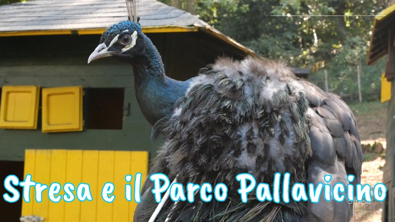 Stresa e il Parco Pallavicino
