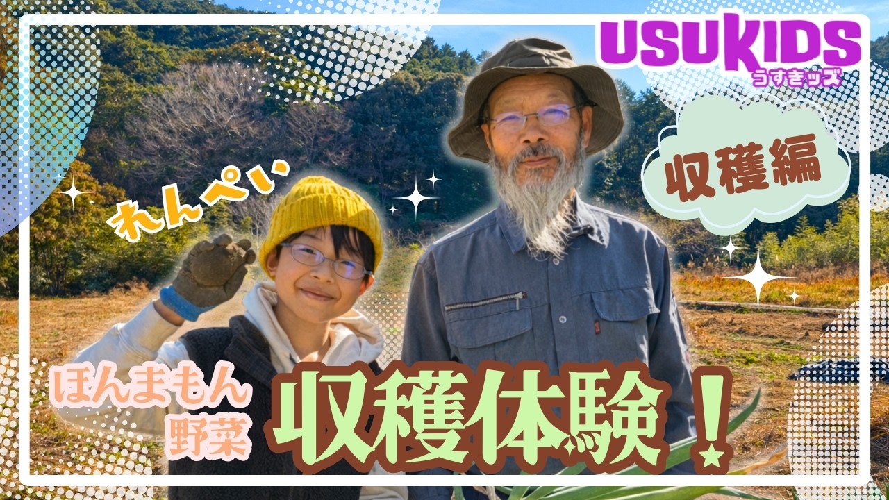 こだわり野菜の収穫体験！【うすきッズ　れんぺい】さといもとあまねぎ収穫編