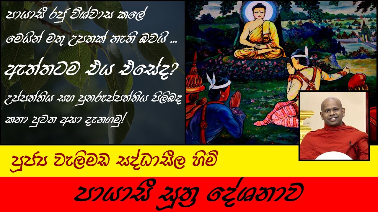 පායාසී සූත්‍ර දේශනාව | Payasi Suthraya | පුනරුප්පත්තිය ඇත්තක්ද? | පූජ්‍ය වැලිමඩ සද්ධාසීල හිමි