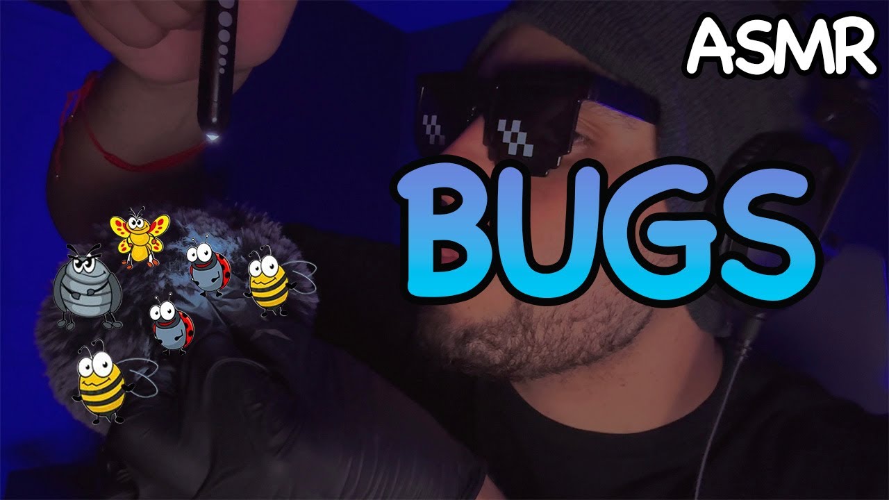 ASMR Bugs Searching