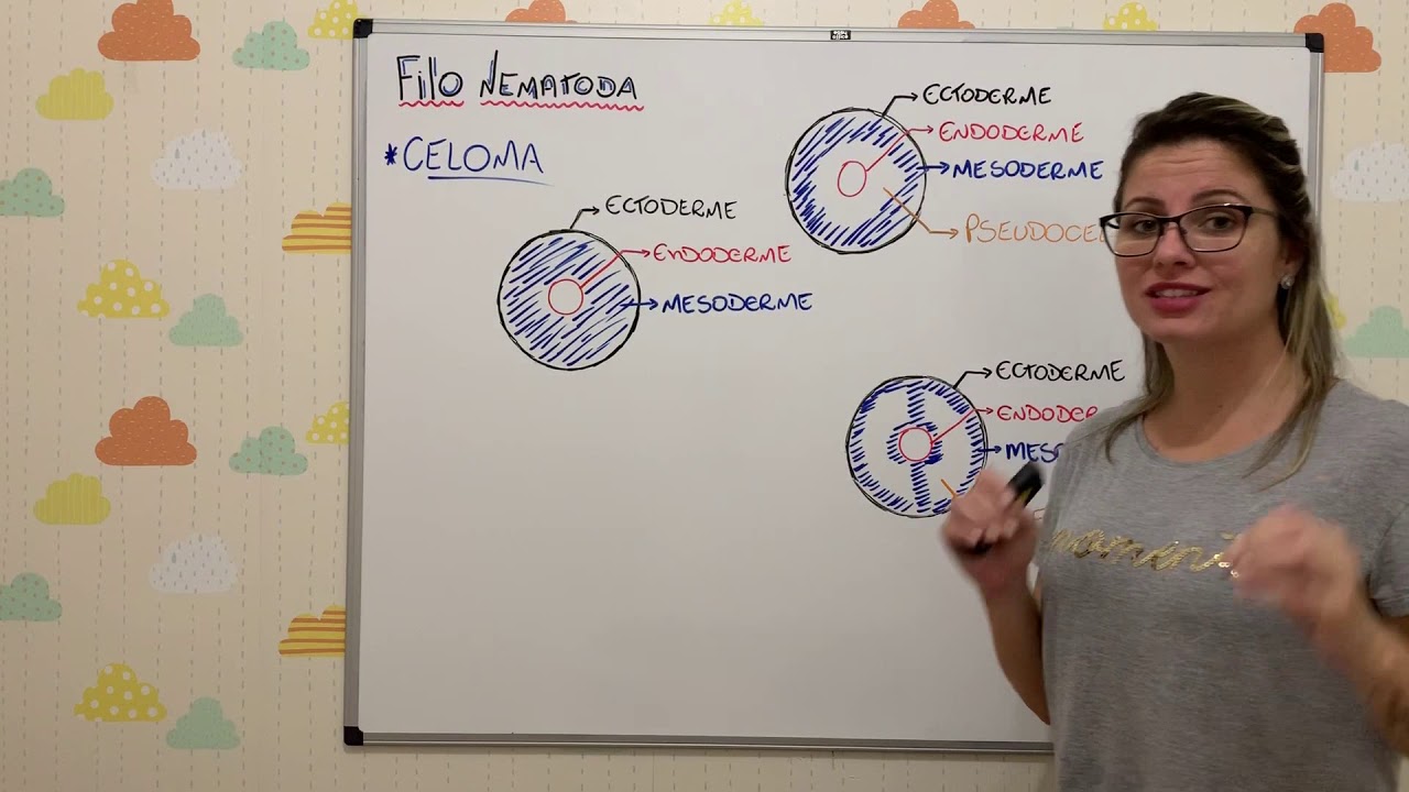 Filo Nematoda - nematoides (vermes cil&iacute;ndricos n&atilde;o segmentados)