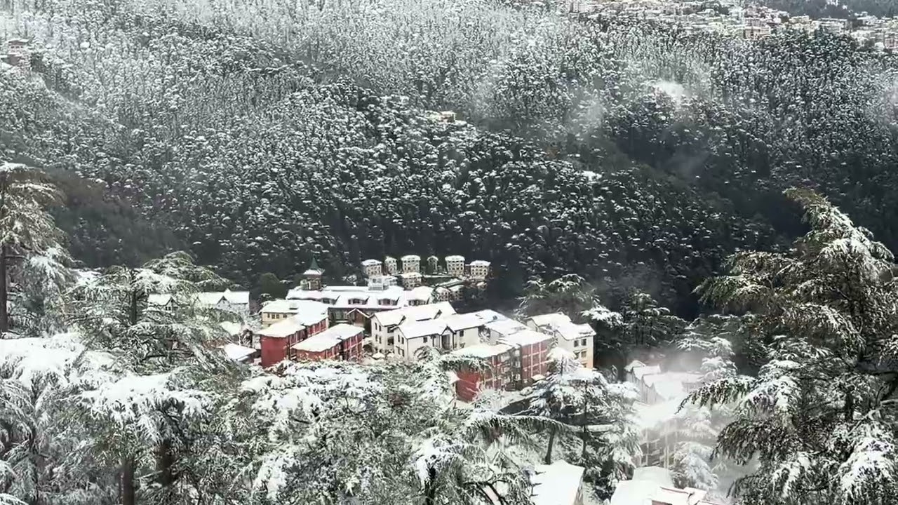Beautiful SHIMLA wrapped in winter magic 🌨️❄️view from the balcony ☃️ #snow #views #viral #fyp 