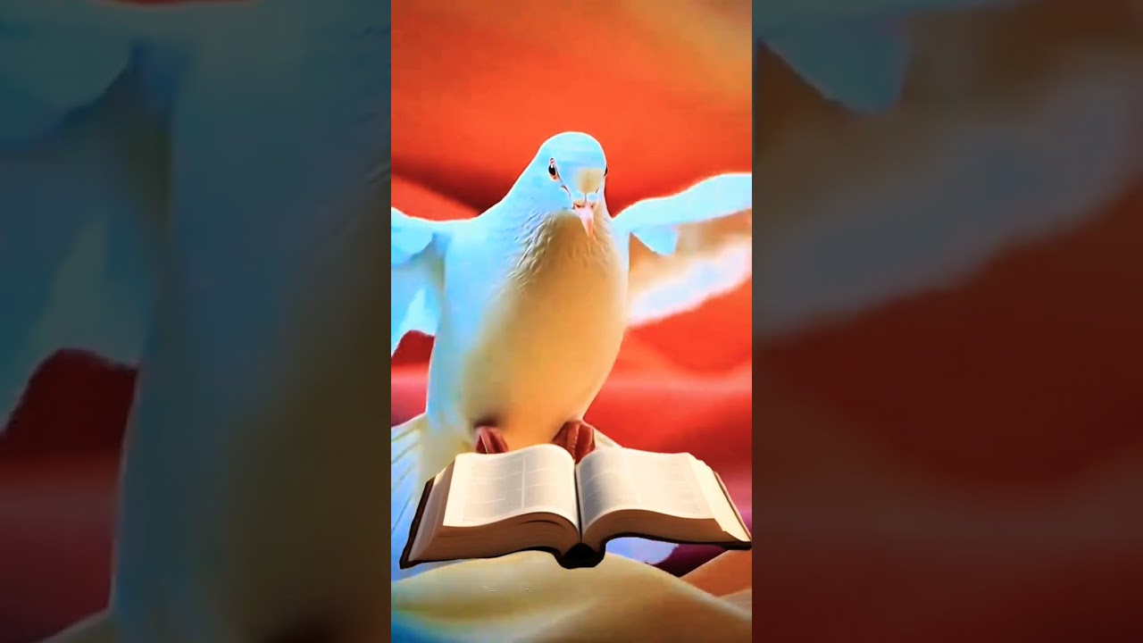 #suscribense