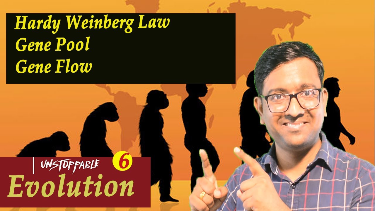 Hardy weinberg Law, Gene Pool, Gene Flow I Evolution L6 I NEET I Dr Kunal (KT)