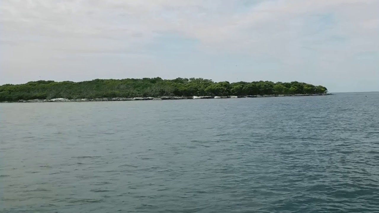 Middle Island Lake Erie Canada Al Capone Bootlegger Double-crested Cormorants