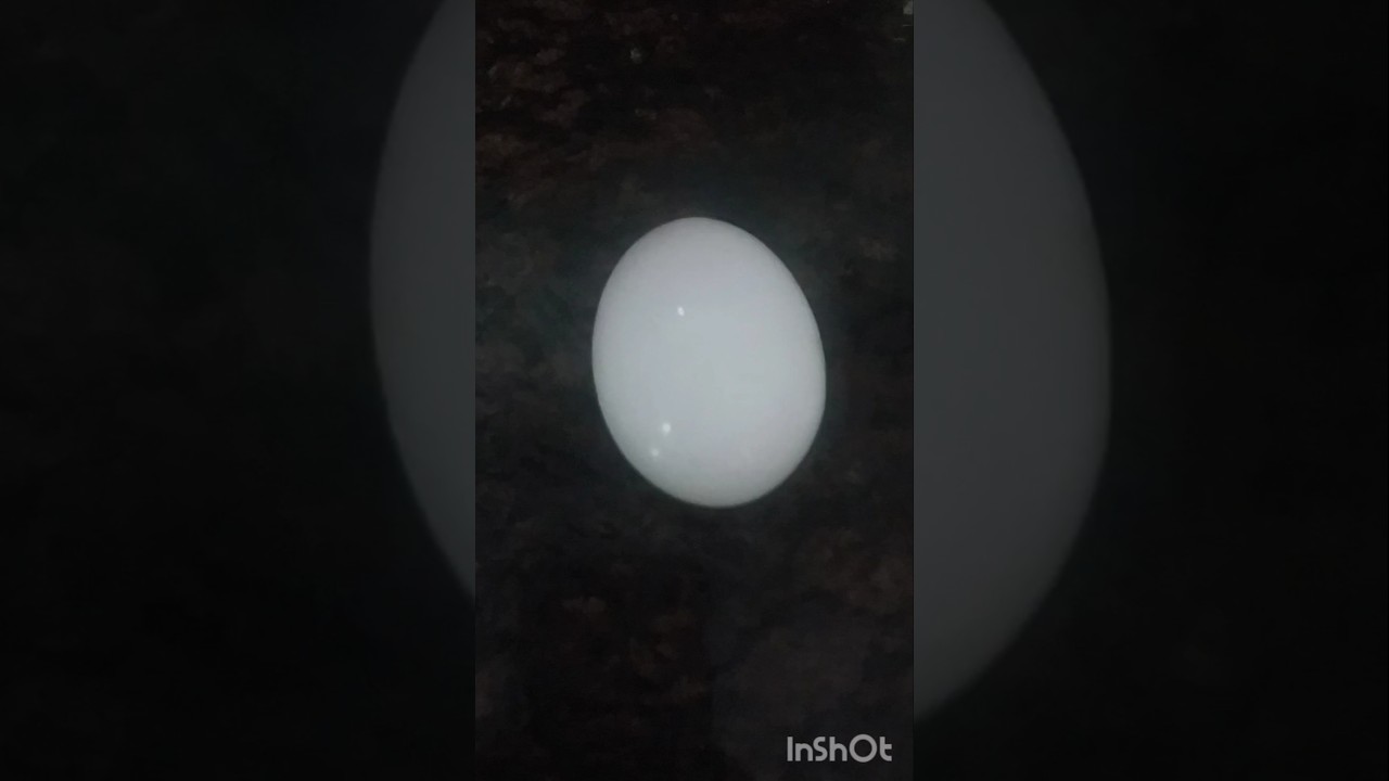 Egg curry 🍛😍🥰 