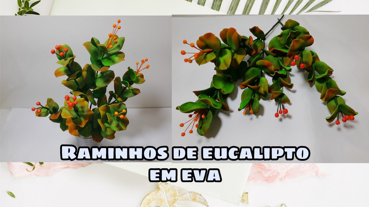 Galho de eucalipto em Eva