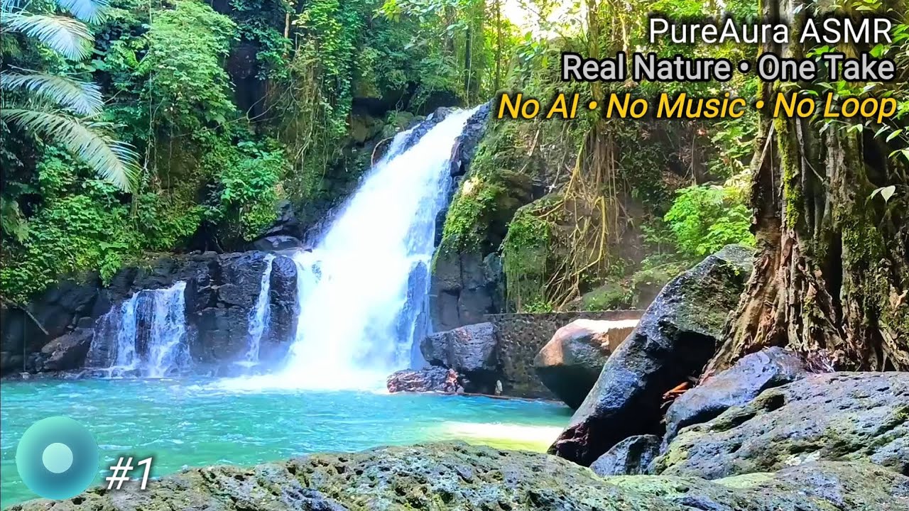 Tropical Waterfall Atmosphere 100% Authentic Nature | Ambient Display for PC & TV • (No AI, No Loop)