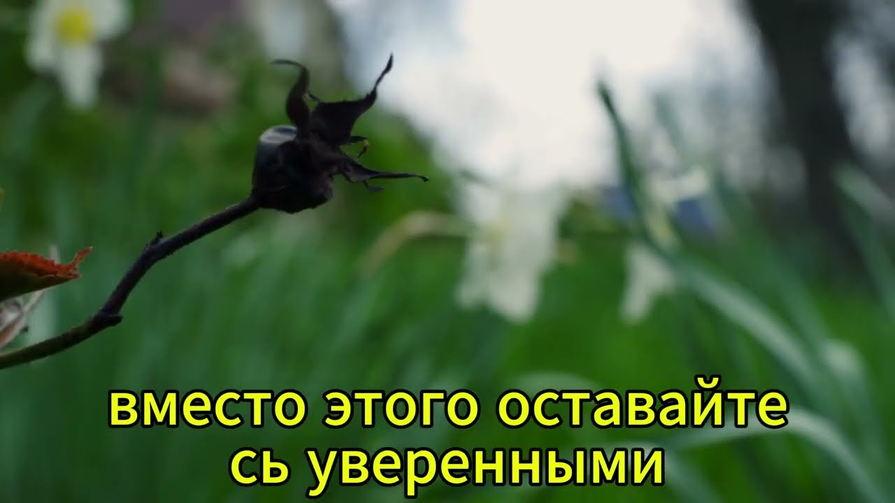 5 очевидных признаков, что она тайно влюблена в вас | Психология женщин!