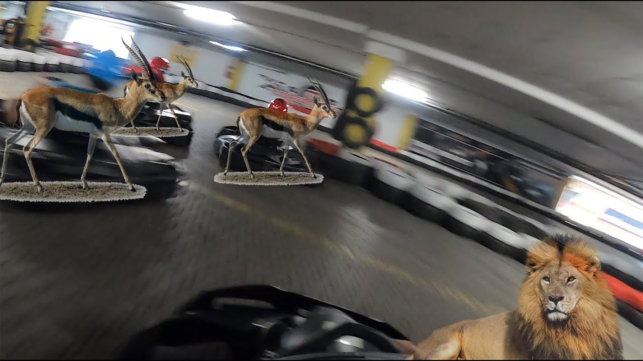 LEVADÁSZTAM MINDENKIT! szeged gokart pláza 2023. 07. 30.