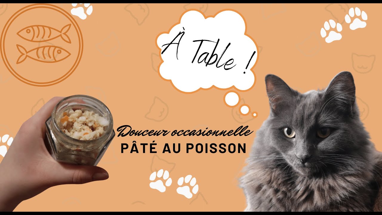 Nourriture pour chat fait maison , pâté au poisson , ration occasionnelle
