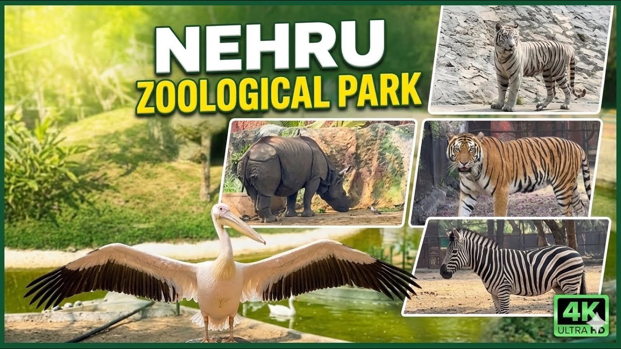 Nehru zoological park EXPLORE-WILDLIFE ADVENTURE IN HYDERABAD