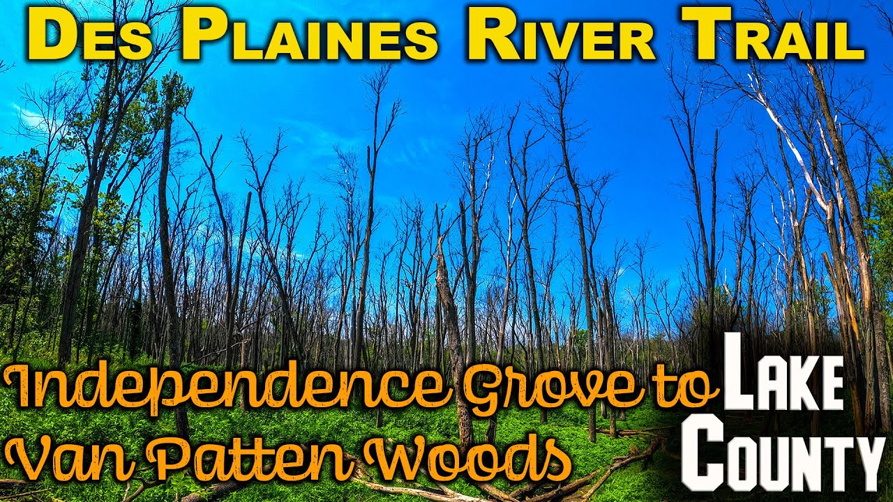 Des Plaines River Trail: Independence Grove to Van Patten Woods - Round Trip - July 2021
