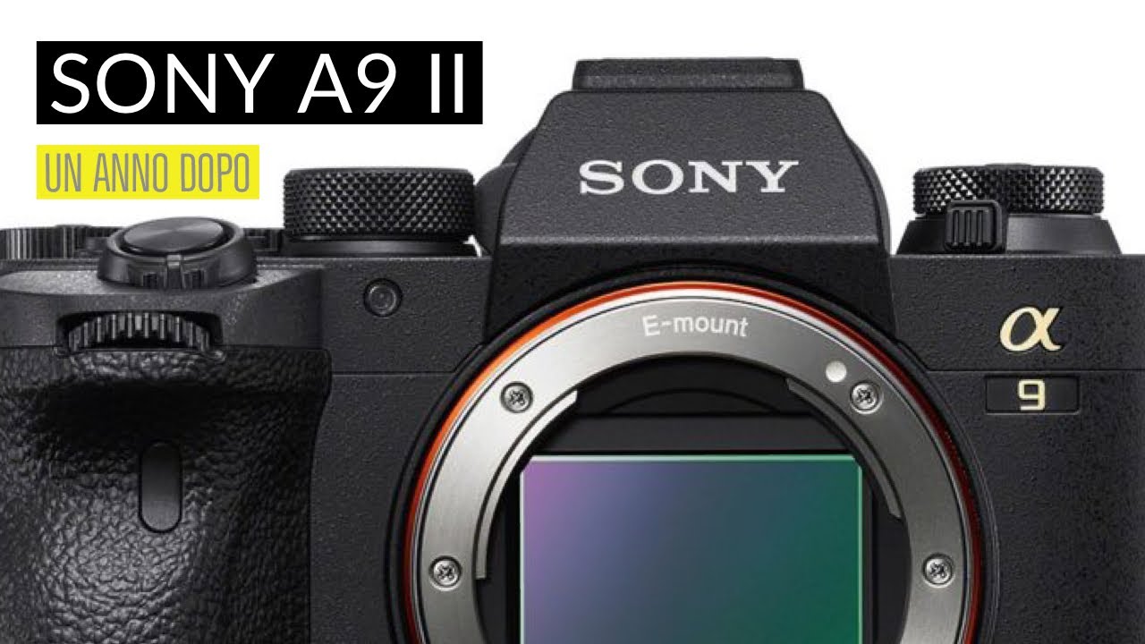 Sony a9 II: UN ANNO DOPO // Considerazioni “finali” sull’ammiraglia Sony