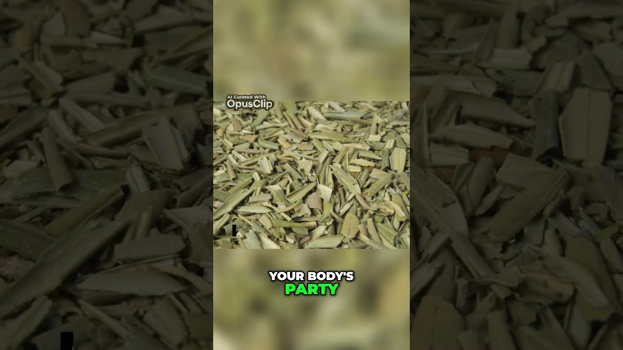Unlock the Secrets of Olive Leaf Extract  Nature's Miracles Revealed