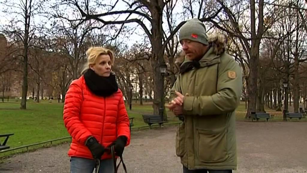 Här lär sig Moltas att hälsa på andra hundar - Nyhetsmorgon (TV4)