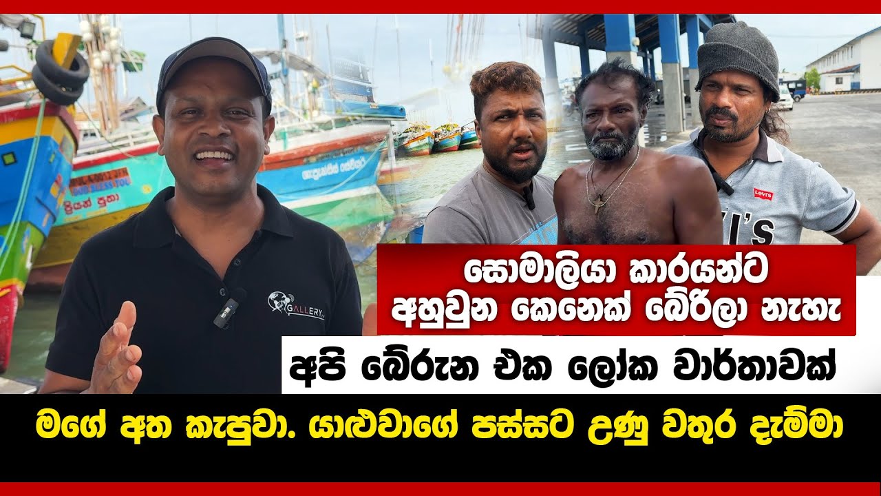 Gallery Tv අපි මාලු කෑවට මේ අය ගැන මොනවද අපි දන්නේ.