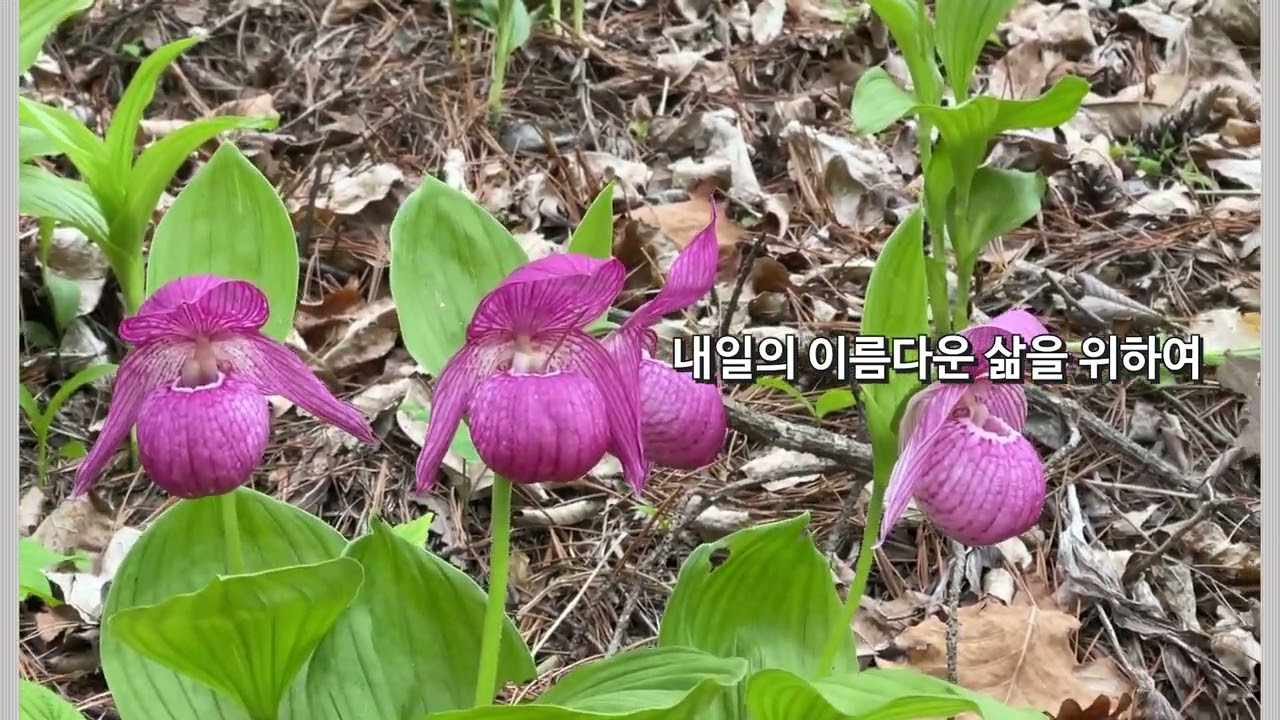아름다운 삶, 자작 시, 끈끈한 인연.