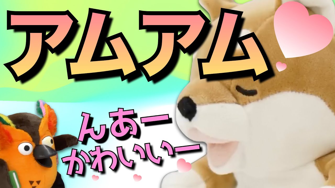 【有隣堂しか知らない世界】甘噛みハムハムに心を奪われるブッコロー【切り抜き】