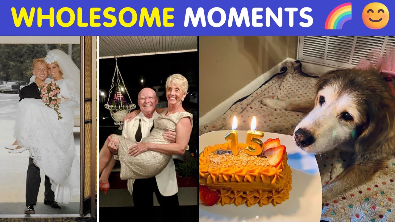 Feeling Down? These Wholesome Pics Will Gently Lift Your Mood 🌈😊
