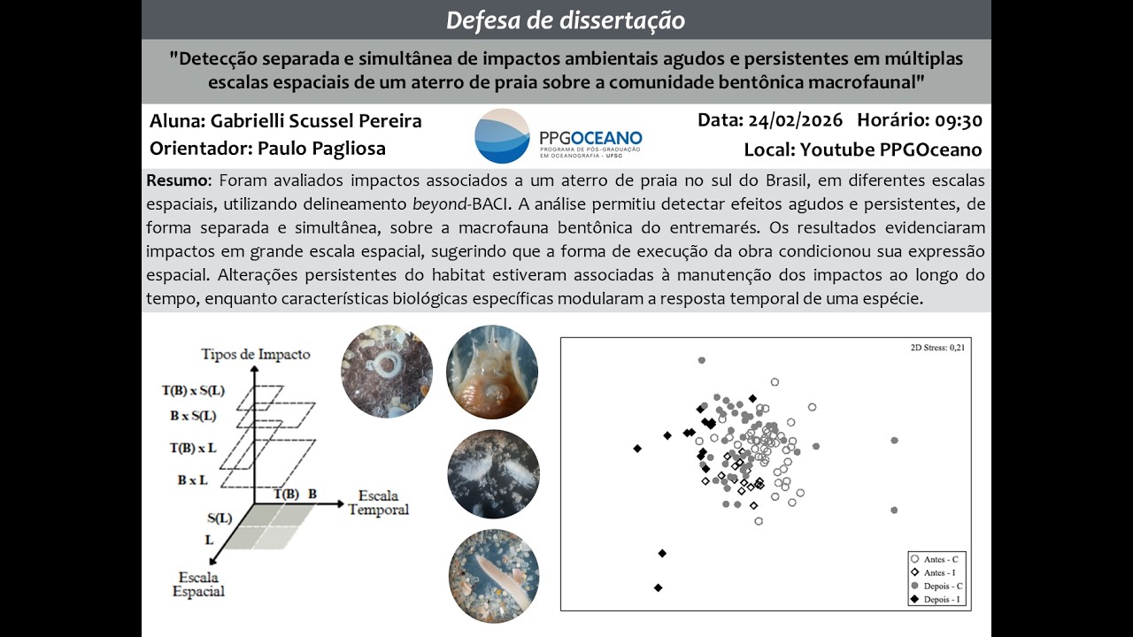 Defesa de Mestrado - Gabrielli Scussel Pereira