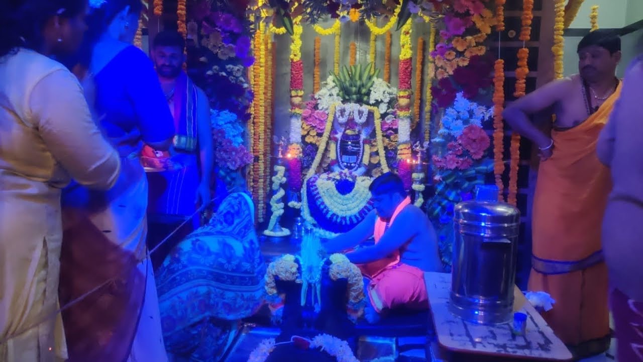 NSP VLOGS  🍃 is live ನಮಸ್ಕಾರ ಸ್ನೇಹಿತರೆ 🙏