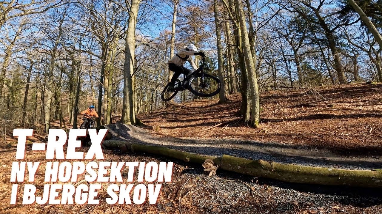 Fantastisk forårsdag på Bjerge Skov MTB-spor // MTB Horsens