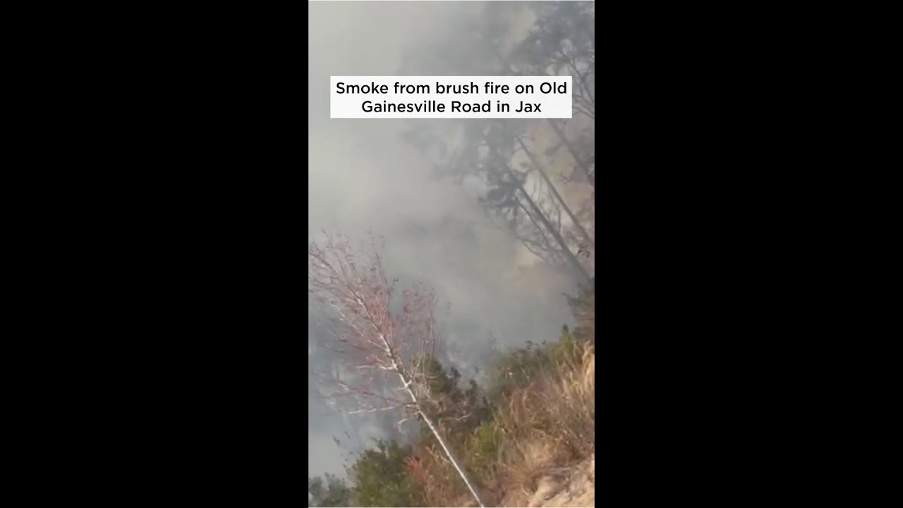 Smoke from brush fire on Old Gainesville Road in Jacksonville that threatened nearby shops