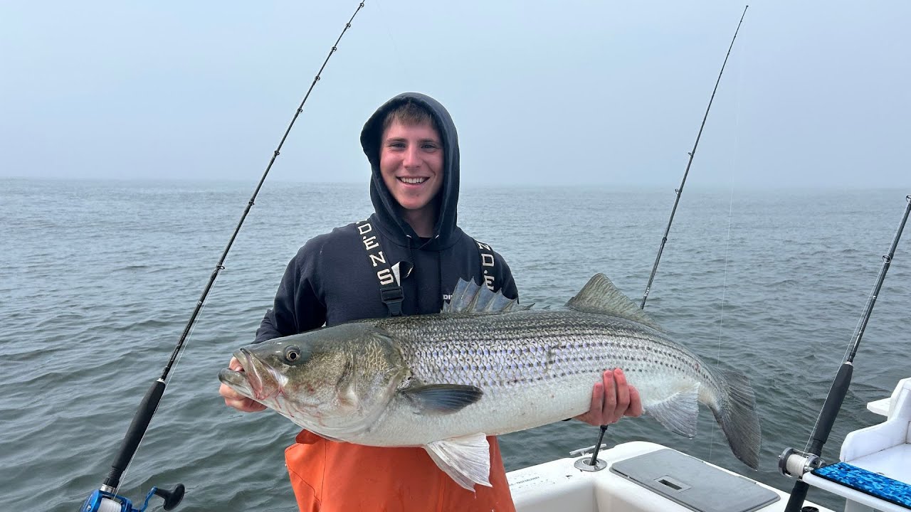 Monster Striped Bass Using Live Eels/New Technique