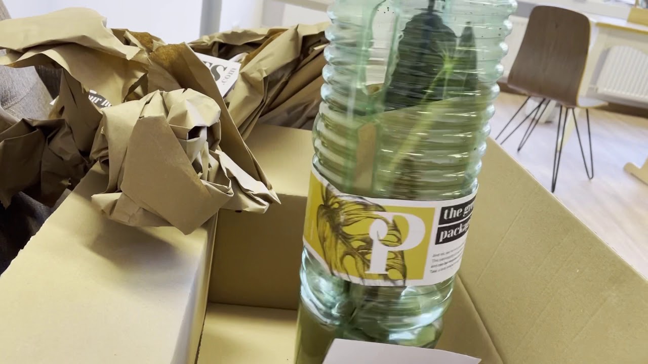 Unboxing - Das letzte mal im Jahr Pflanzenpost