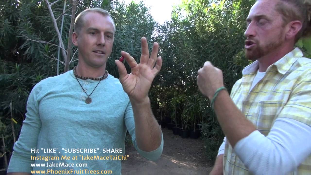 2016 Garden Tour of Shamus O'Leary's Tropical Fruit Trees