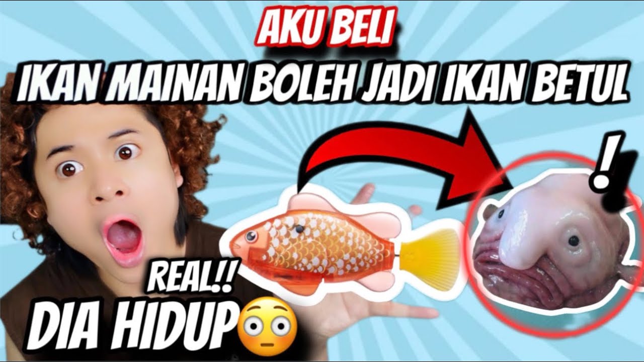 AKU BELI IKAN MAINAN YANG BERTUKAR JADI IKAN BETUL😭‼️| TAK SANGKA 😭