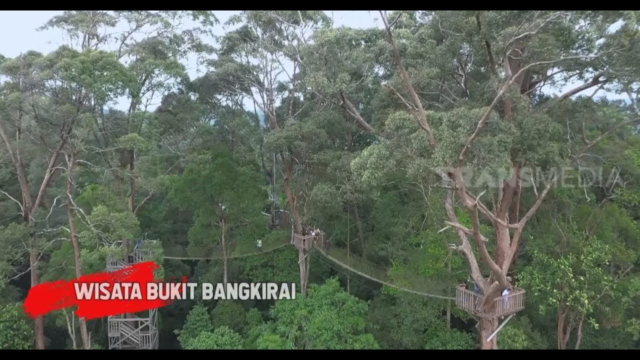 WISATA BUKIT BANGKIRAI | RAGAM INDONESIA (02/01/19)