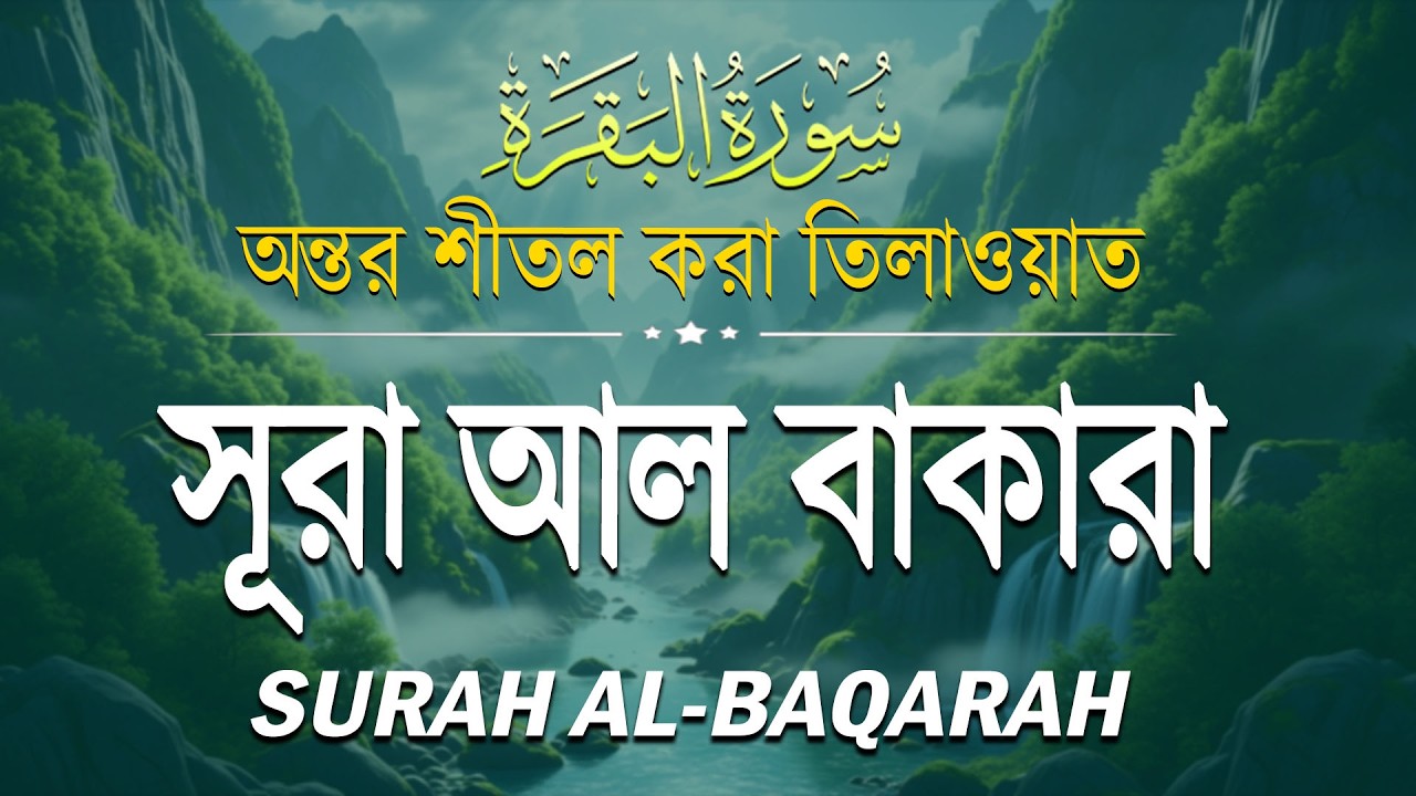 সূরা বাকারা অত্যন্ত মায়াবী কন্ঠে তিলাওয়াত । Most Beautiful Recitation Surah Baqarah | Surela Quran