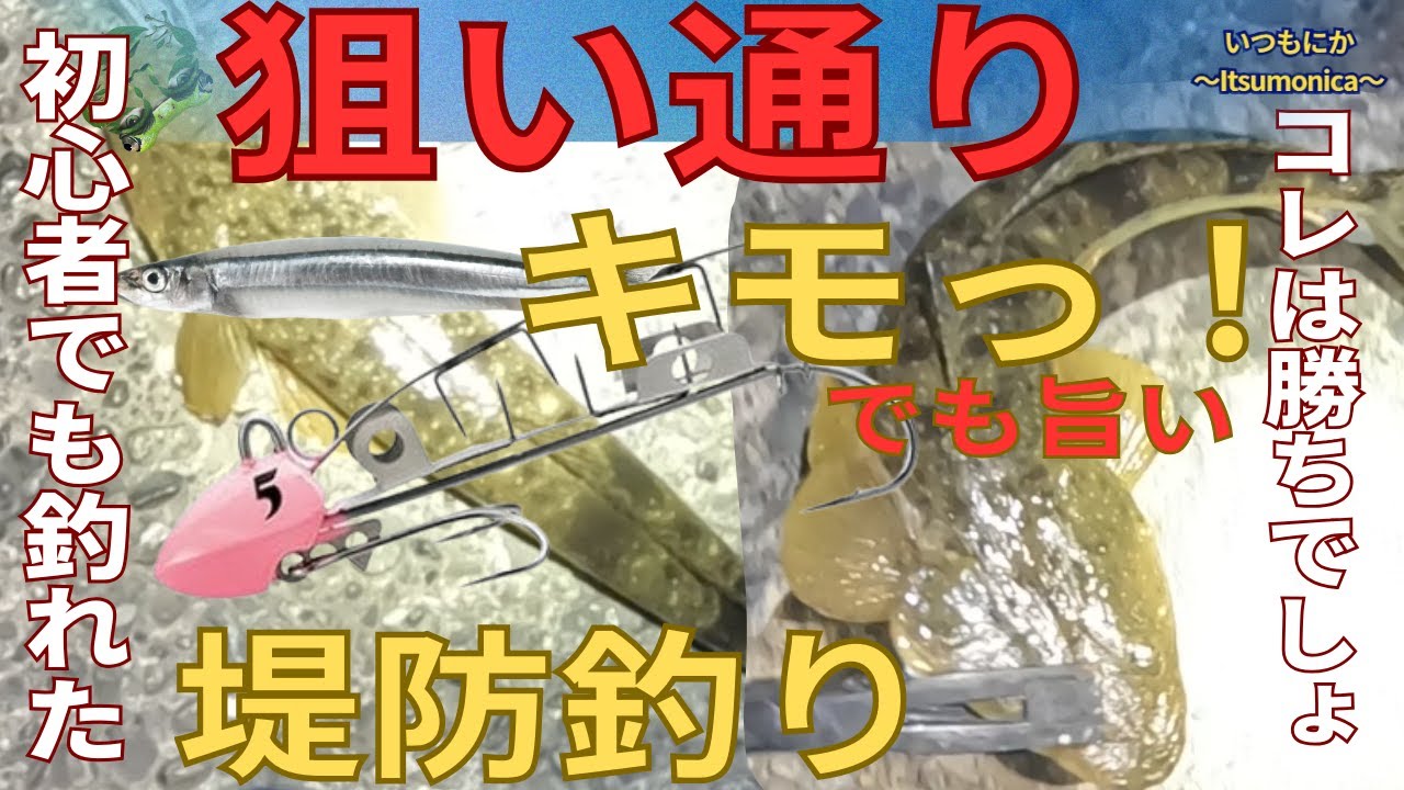 【堤防釣り】初心者必見！キビナゴがあれば何でも釣れる？タチウオテンヤを底で使う裏技でマゴチをゲット！