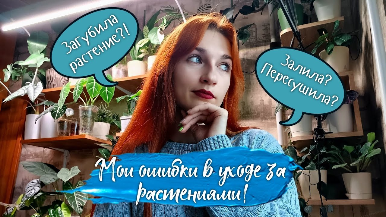 РАСТЕНИЯ, КОТОРЫЕ Я ЗАГУБИЛА🫢🌿 Рассказываю о растениях, с которыми я не смогла подружиться😊
