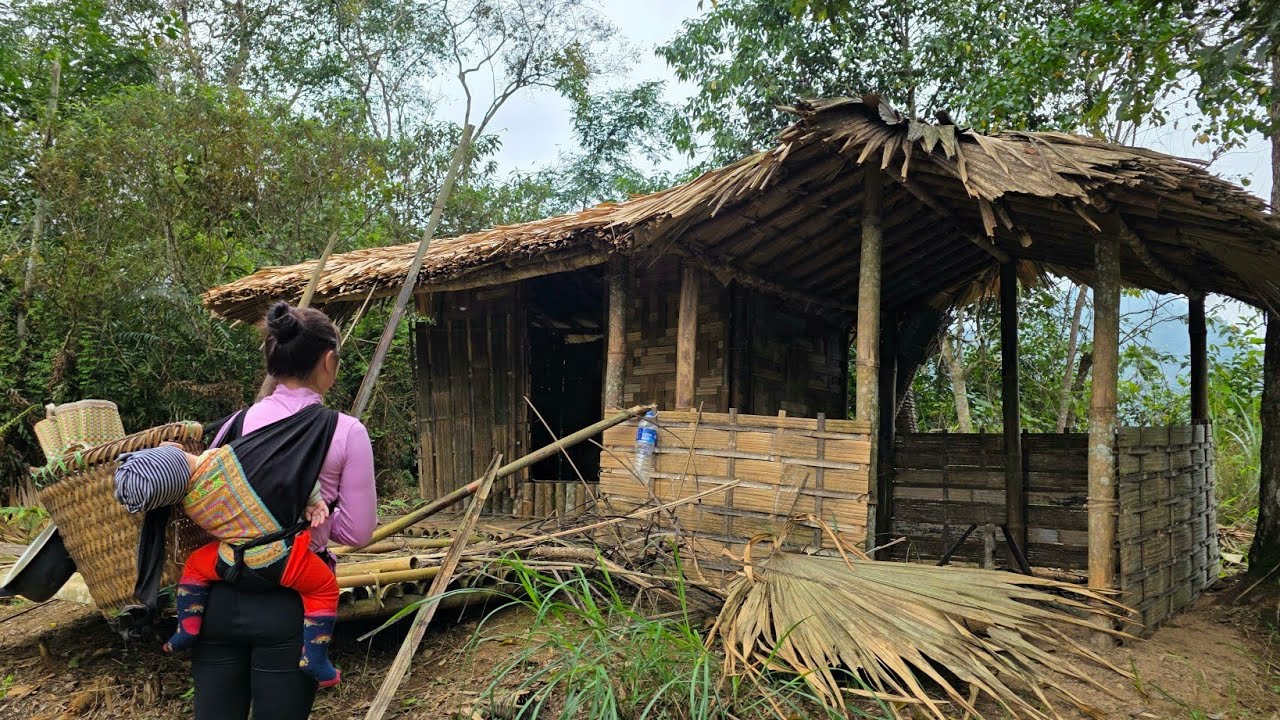 7 Days Surviving in the Forest – Finding Bamboo Shoots for Food and Restoring an Abandoned House