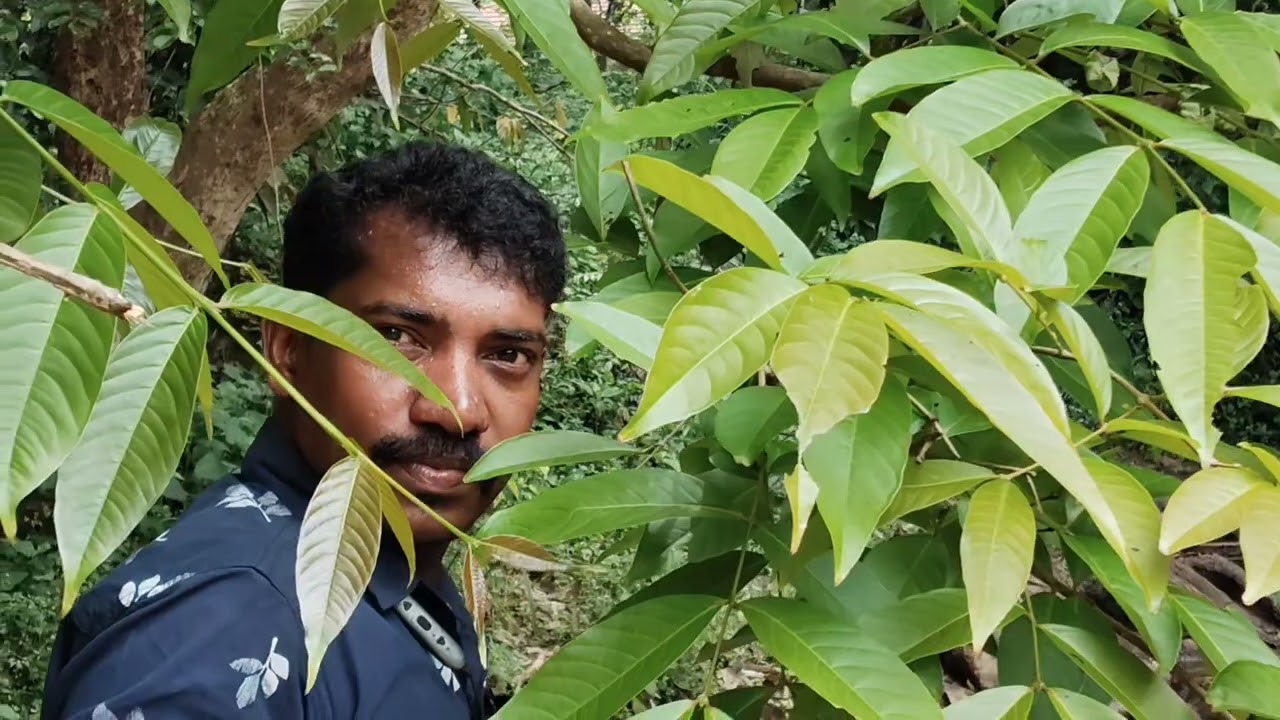 Sujith' song