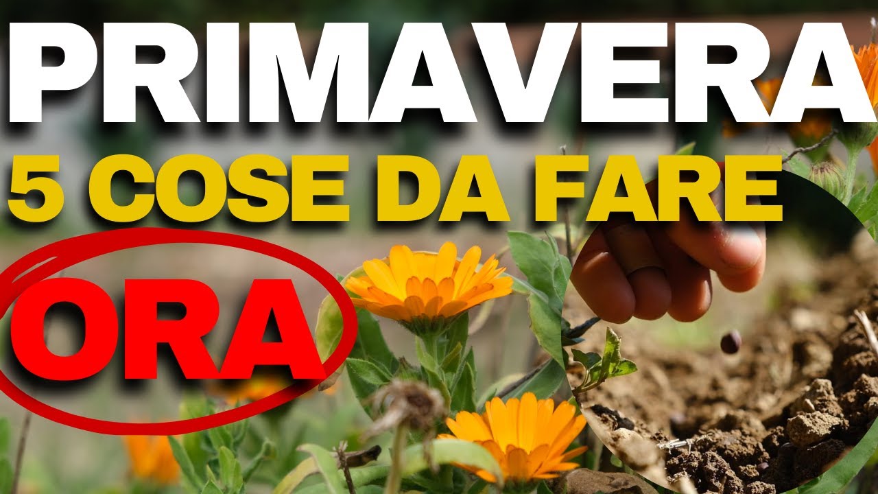 5 COSE DA FARE nel TUO ORTO PRIMA della PRIMAVERA