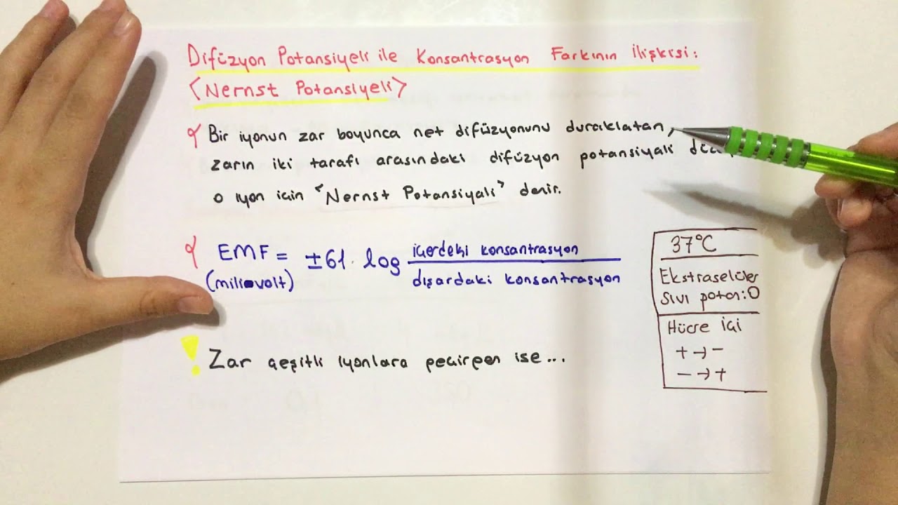 FİZYOLOJİ-8.KONU-Zar Potansiyelleri