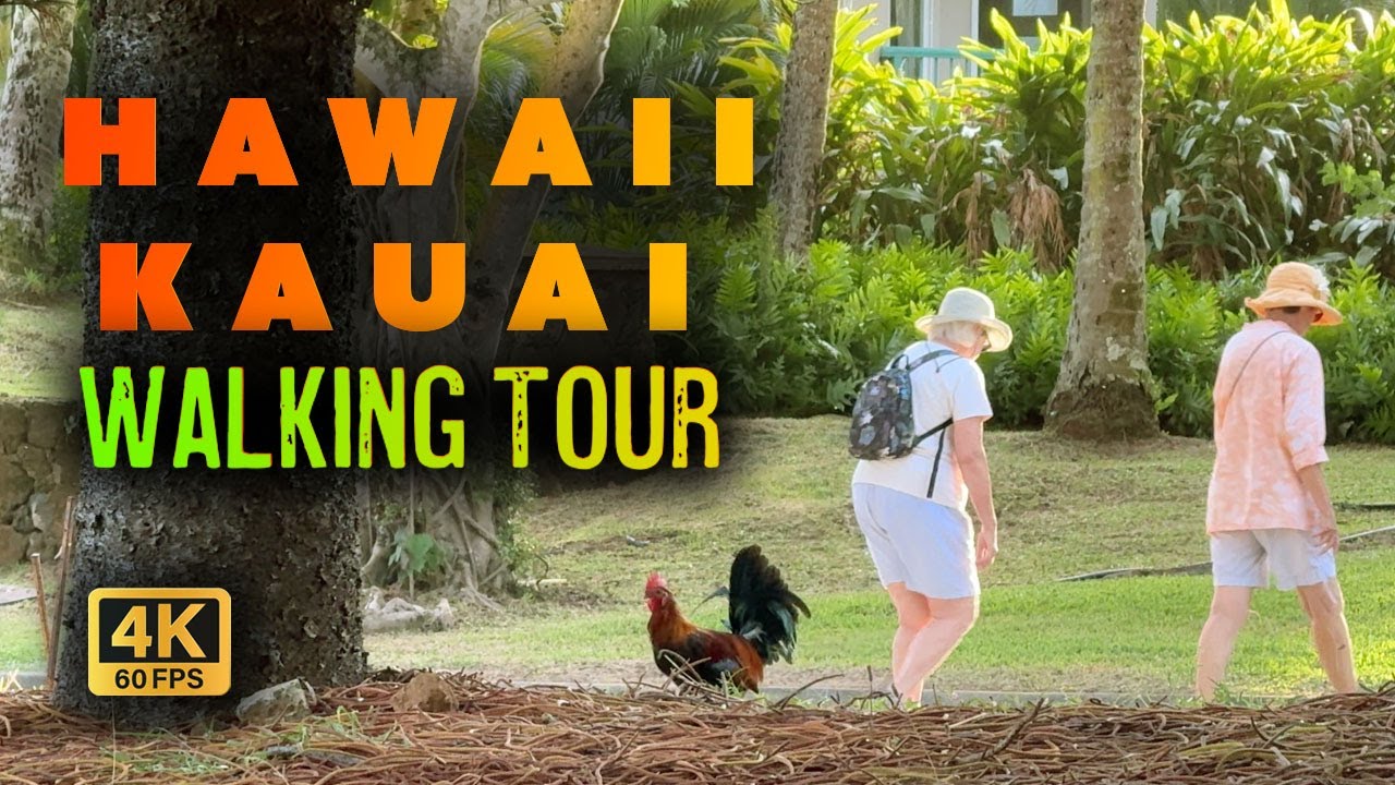 [4K] 🌴 Morning Serenity in Hawaii, Kauai | Walking Tour 🌞 #hawaii #kauai #travel #walkingtour