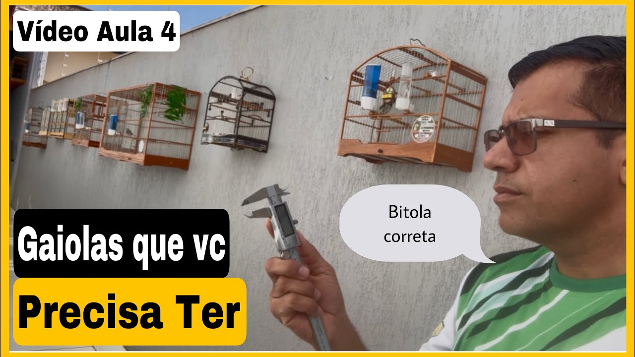 TODAS as GAIOLAS que Você PRECISA Ter para Coleiro PAPA-CAPIM!