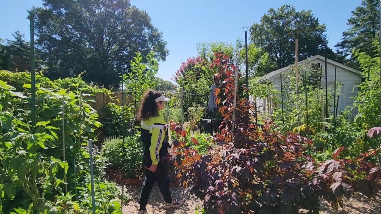 Our backyard ecosystem oasis | Queer resilience through climate conscious urban gardening