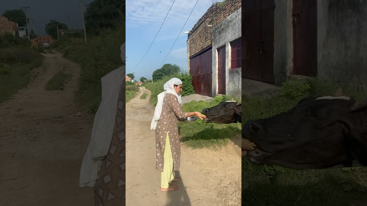 Pittar dev 🙏🙏 #song #youtubeshorts #music #subscribe