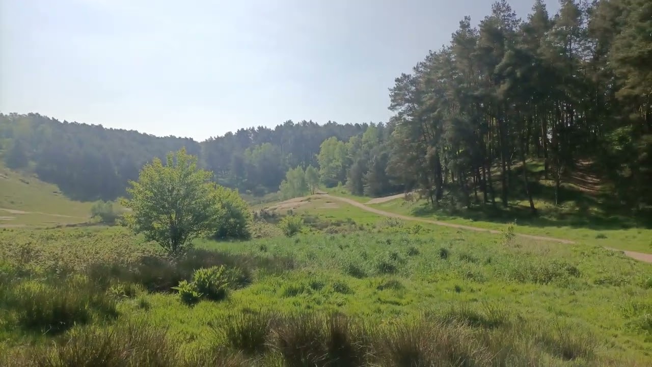 2024 05 10 101026 Fischbek 1